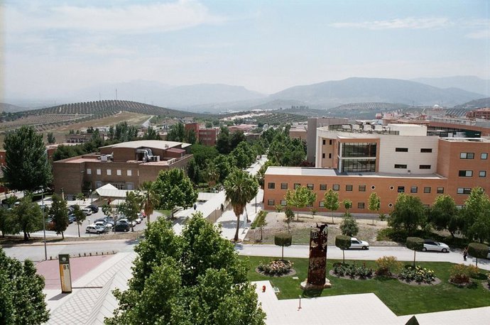 Imagen del Campus de Las Lagunillas desde el Rectorado