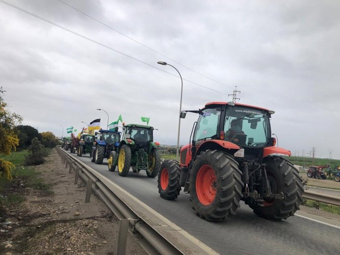 Huelva.- Coronavirus.- Agricultores ofrecen su maquinaria para ayudar en la desi