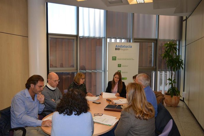 La delegada de Empleo, Formación y Trabajo Autónomo de la Junta en Granada, Virginia Fernández, en la Comisión Provincial IDEA, en una foto de archivo