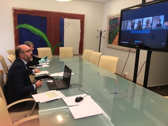 Javier Ortega se reúne de forma telemática con los miembros del Consejo de Turismo de Castilla y León.
