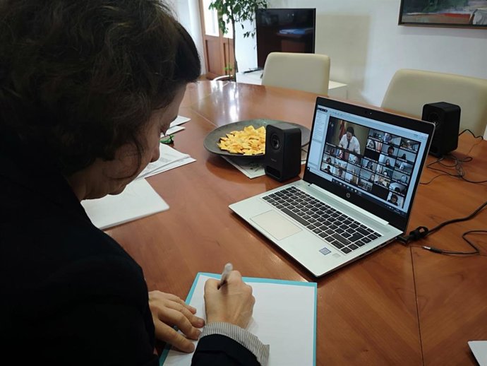 La consellera de Asuntos Sociales y Deportes, Fina Santiago, una en videoconferencia con el vicepresidente Pablo Iglesias.