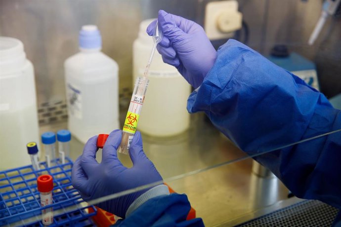 Imagen de un investigador sobre el coronavirus. 