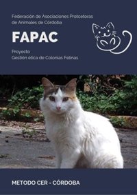 Unos 50 "alimentadores acreditados" llevan comida a un centenar de colonias felinas en Córdoba durante el Covid-19