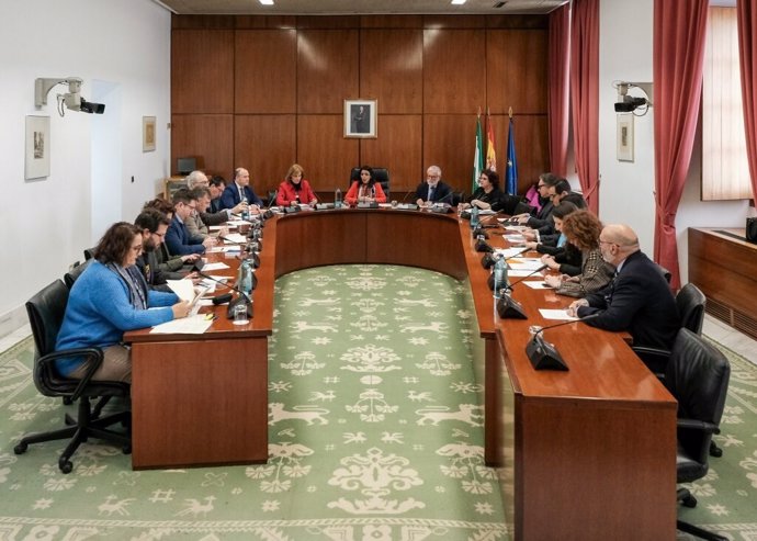 La Diputación Permanente reunida en el Parlamento andaluz, en una imagen de archivo.
