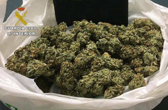 Marihuana incautada por la Guardia Civil en el Port d'Alcudia.