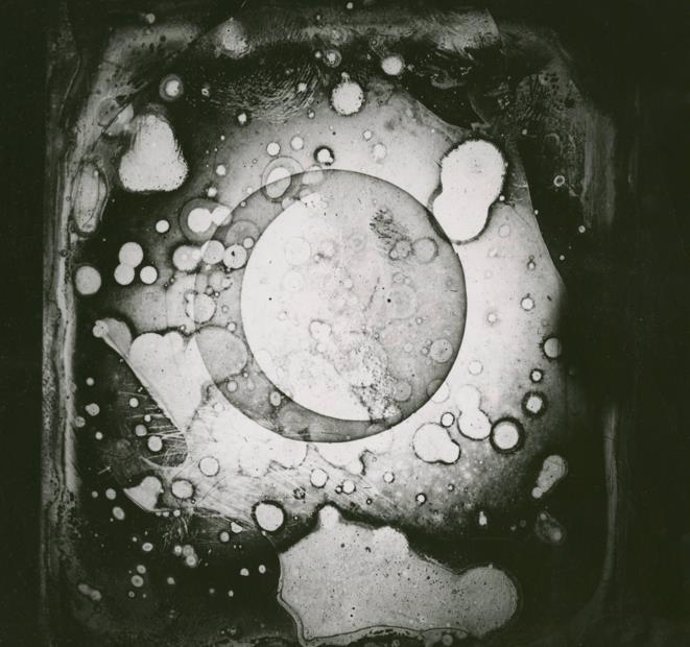 La primera foto de la Luna se tomó hace 180 años