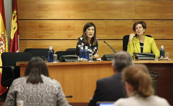 La directora del Instituto de la Mujer, Pilar Callado, en las Cortes.