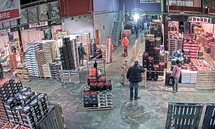 Instalaciones de Mercabilbao, en Basauri.