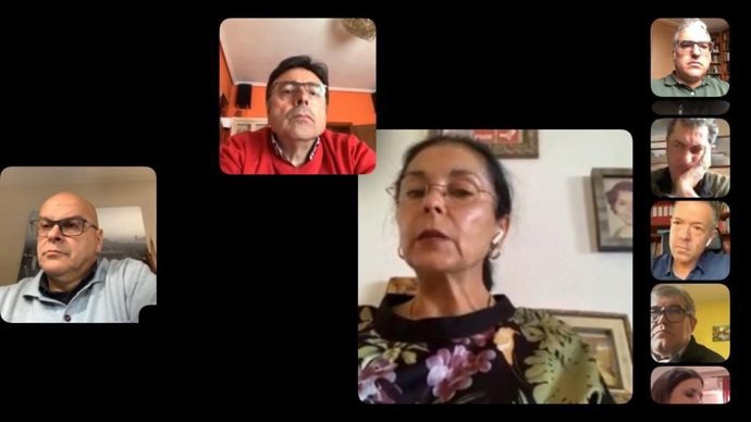 Senadores del PSOE en una reunión telemática con el portavoz del Grupo Socialista, Ander Gil, tercero desde arriba en la columna de la izquierda.