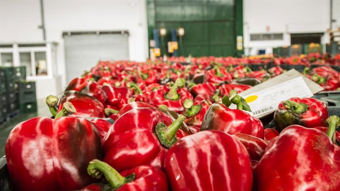 El sector agroalimentario andaluz inicia 2020 con más de 1.000 millones en expor