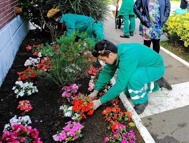 Alumnos de Formación Profesional haciendo prácticas de jardinería en Santander.