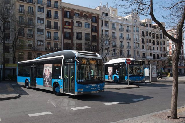 Autobuses recorren la Avenida Felipe II.