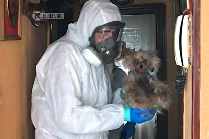 'El Refugio' rescata a dos perros de la vivienda en San Blas de un matrimonio hospitalizado por coronavirus.