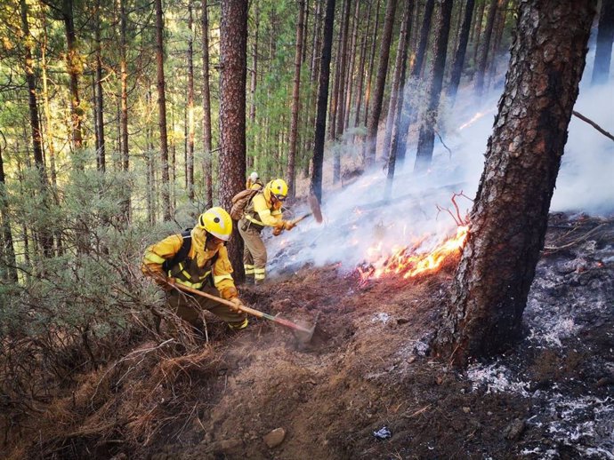 Efectivos de la BRIF de Puntagorda intervienen en las labores de extinción del incendio de Gran Canaria