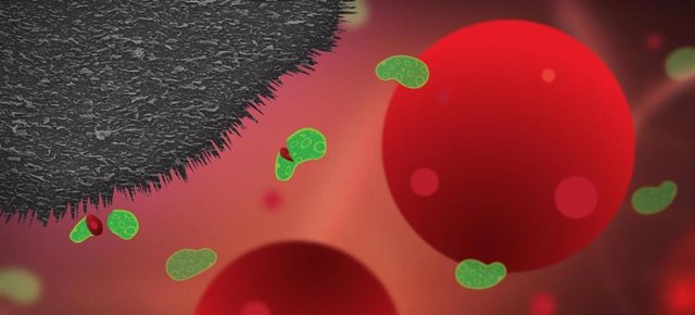 Las nanoplaquetas de grafito integradas en superficies médicas de plástico pueden prevenir infecciones