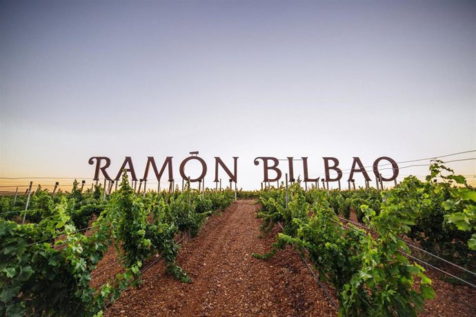 Viñedos de Bodegas Ramón Bilbao