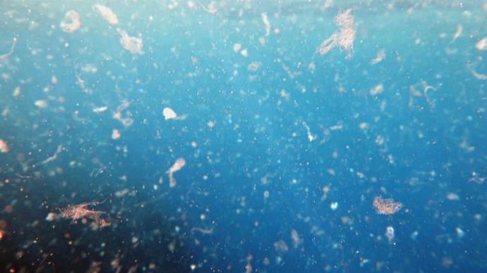 Avalanchas atrapan y dispersan microplásticos en el fondo oceánico