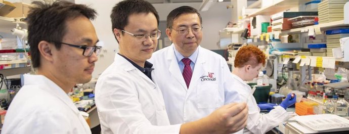 Chenran Wang, profesor asistente en el Departamento de Biología del Cáncer de la UC, y Jun-Lin Guan, Francis Brunning, Presidente de la Fundación y profesor de biología del cáncer en la UC.