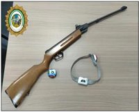 Detenido un hombre en Aracena (Huelva) por saltarse la cuarentena y disparar contra mobiliario urbano