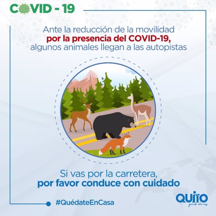 Anuncio del Municipio de Quito alertando de la mayor presencia de animales salvajes por las calles y carreteras de la capital ecuatoriana debido a la ausencia de personas motivada por la cuarentena decretada para frenar la expansión del Covid-19.