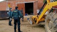 Denunciados en Las Navas (Sevilla) por la matanza de un cerdo "como una fiesta" y "sin justificación"