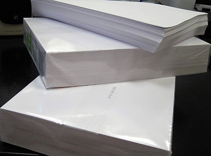 Iberpapel gana 21,7 millones en 2019, un 14% menos, por la presión en el mercado de la celulosa
