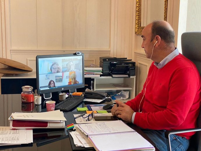 El presidente de la Diputación, Miguel Ángel de Vicente, en videoconferencia.