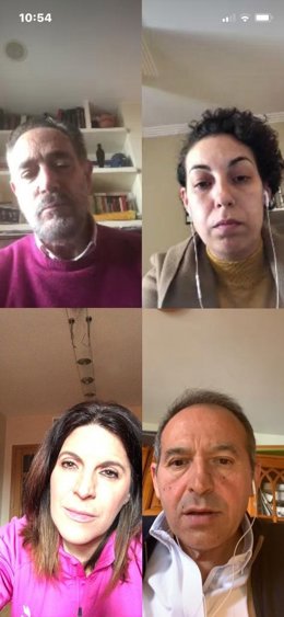 Los parlamentarios socialistas, desde arriba a la izquierda hasta abajo a la derecha, Felipe López, Mercedez Gámez, Ángeles Férriz y Jacinto Viedma en una video conferencia