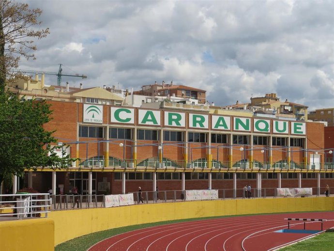 Carranque ciudad deportiva pabellón cubierto