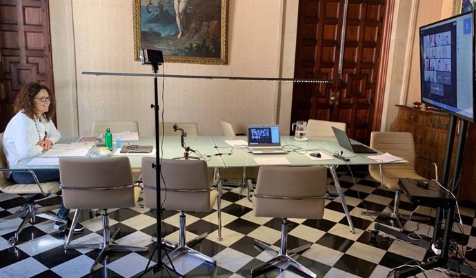 La presidenta del Consell de Mallorca, Catalina Cladera, durante la reunión.