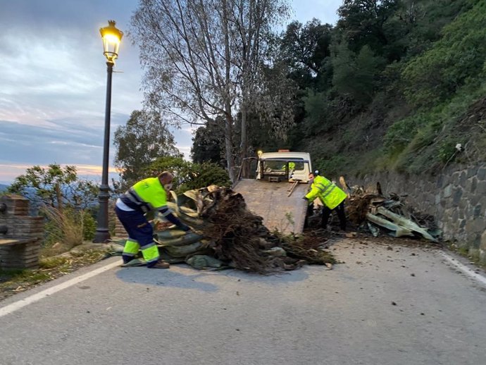 Operarios de la Diputación de Málaga restablecen la carretera de Genalguacil  afectada por un desprendimiento de tierras
