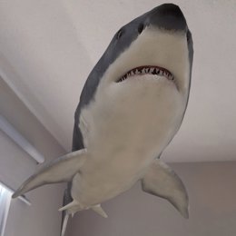 Una imagen de un tiburón en 3D