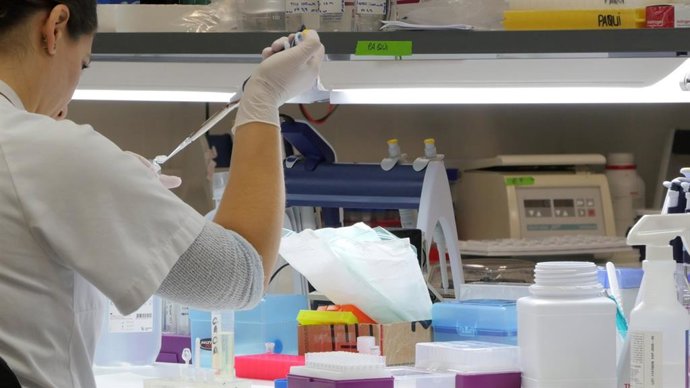 Investigadora del Instituto Murciano de Investigación Biosanitaria (IMIB)