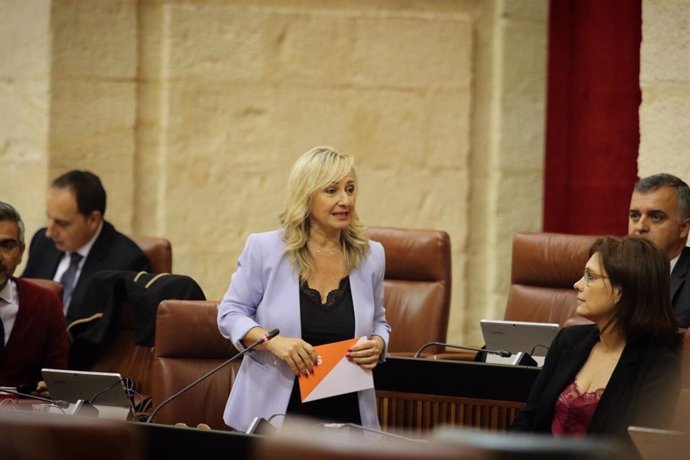 La parlamentaria de Ciudadanos Ana Llopis.