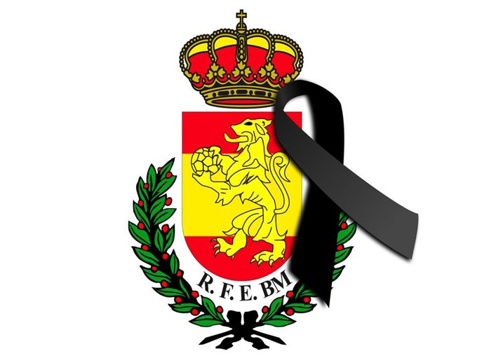 Logo de la Real Federación Española de Balonmano (RFEBM)