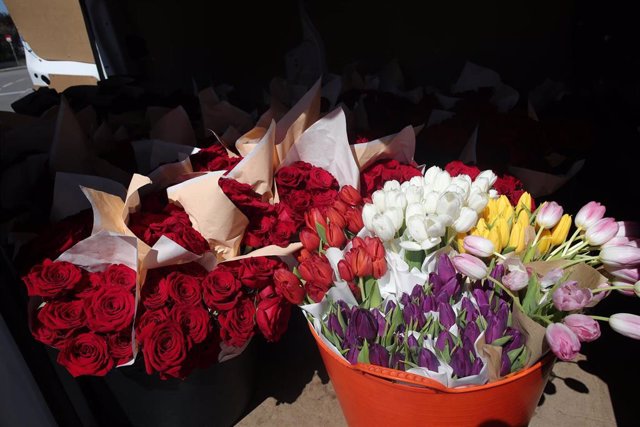 Rosas y tulipanes que la Fundación Madrina envía para regalar a los sanitarios y para decorar el hospital de campaña en Ifema