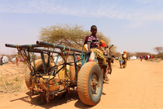 Coronavirus.- La ONU llama a "dejar de lado la violencia" en Somalia para centra