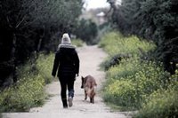 Granada limita el paseo de los perros para evitar incumplimientos del estado de alarma