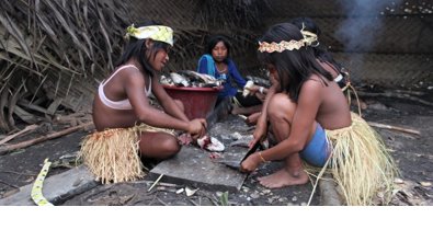 Cooperación y Desarrollo