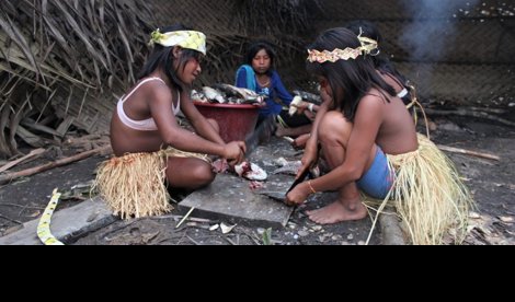 Cooperación y Desarrollo