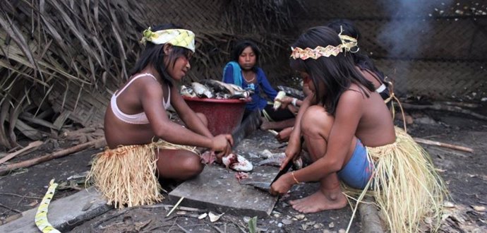 Niñas indígenas de Brasil cortando pescado