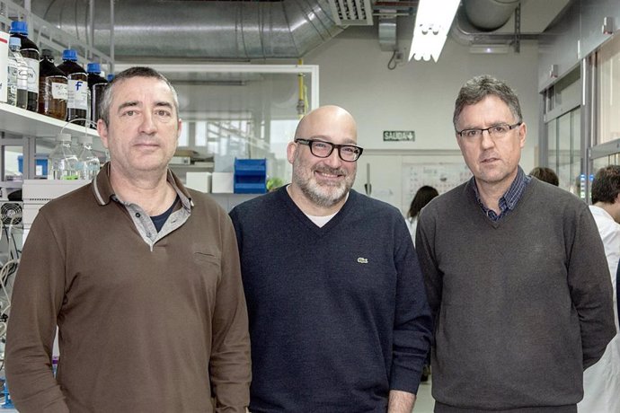 Investigadores españoles descubren un compuesto capaz de señalizar el reciclaje de las mitrocondrias