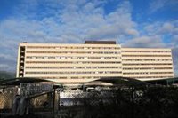 Uno de cada cuatro positivos confirmados en Euskadi requiere hospitalización