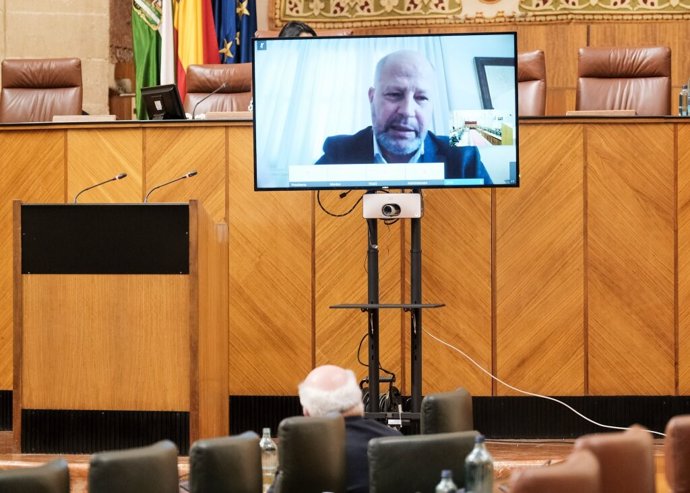 Javier Imbroda comparece telemáticamente ante la Diputación Permanente del Parlamento