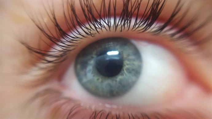 La nicotinamida puede ayudar a tratar las enfermedades oculares fibróticas y mit