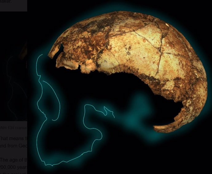Nuestro ancestro Homo erectus es entre 150.000 y 200.000 años más viejo
