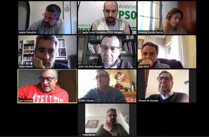 Reunión telemática de alcaldes y cargos del PSOE de Málaga