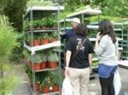 Feria Primavera de Biescas.