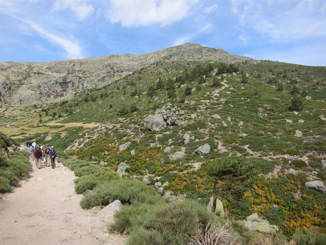 Parque Nacional de la Sierra de Guadarrama. 
