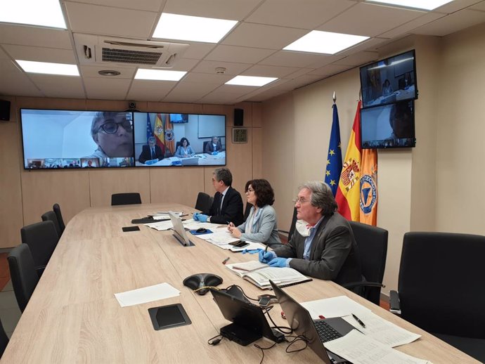 La subsecretaria de Interio, Isabel Goicoechea, en la reunión telemática del Comité Estatal de Coordinación de Protección Civil (CECO)